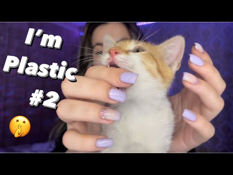 Asmr tapping on plastic kitty #2