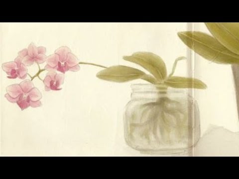 wmsmn asmr