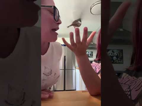 Was it my breath?? 🤣 #inthemiddleofthenight #dove #lol #comedy