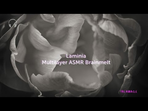 Multilayered [ASMR] ★ Laminia ★ [layered sounds] [ Unintelligible whispers]