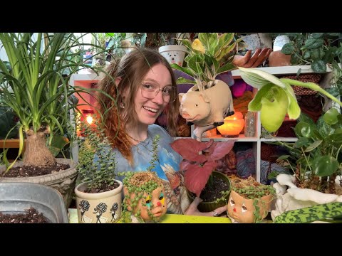 ✨🪴ASMR Q&A pt 2 while repotting a bunch of my house plants🪴✨