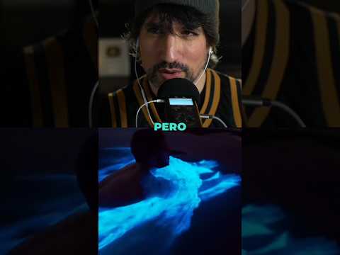 ¿Por qué BRILLA el mar en México?