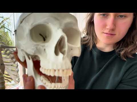 ASMR IN BIOLOGY CLASS
