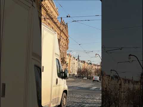 #lofi #youtubeshorts #youtube #shortvideo #shorts #travel #travelvlog