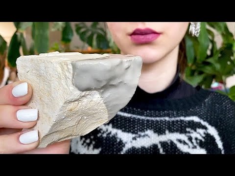 Ассорти в пасте🌱 Assorted with paste/パスタ盛り合わせ / ASMR
