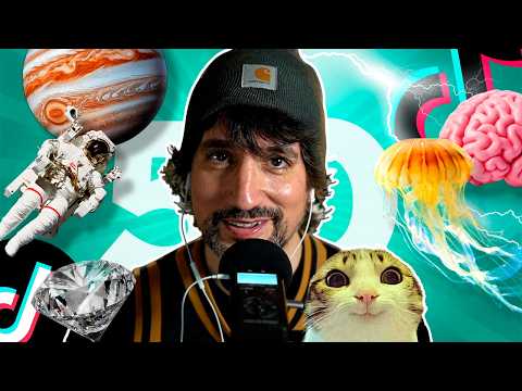 50 TikToks MUY CURIOSOS para dormir muy a gusto 😻 ✨