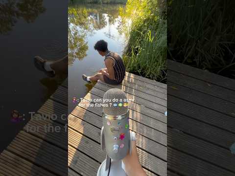 ASMR PUTTING GERMAN FISH TO SLEEP 🐟💤