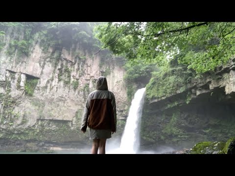 ASMR Forest Spirit (Kodama) Guides You Through a Japanese Forest | Princess Mononoke Inspired
