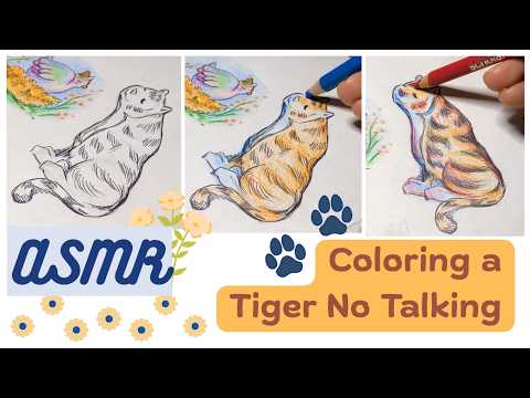 ASMR Coloring Tiger No Talking Relaxing