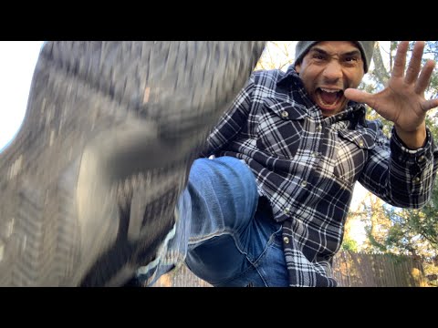 OUTDOOR 🌲 FAST 🔥 CHAOTIC ASMR FOR MAXIMUM TINGLES!!!