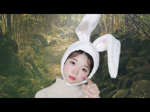 ASMR│🐰이상한 나라의 앨리스 토끼 롤플레이│마법 포션 만들기│다친 귀 치료해주기 Alice in Wonderland Rabbit roleplay & Making potions