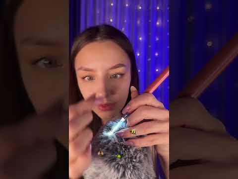 Bugs 🐛 #asmr #relax #asmrsounds #asmrvideo