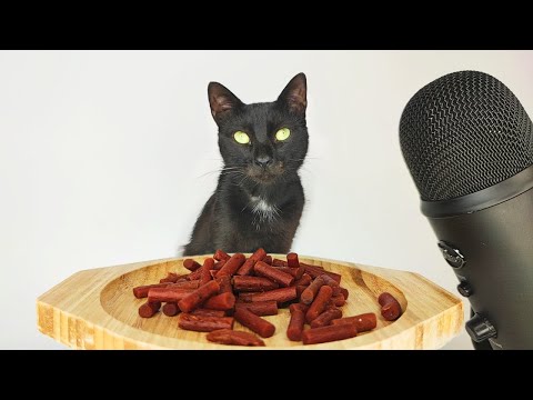 Cat eating Tuna Mini Stick ASMR