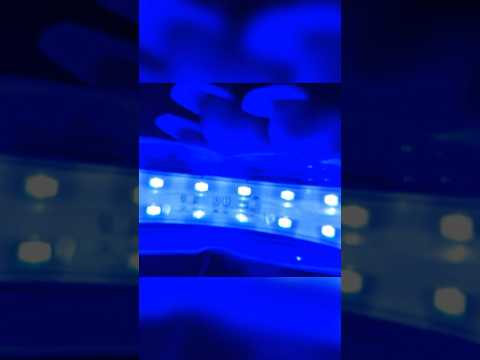 Real or AI ? Scanning you ASMR
