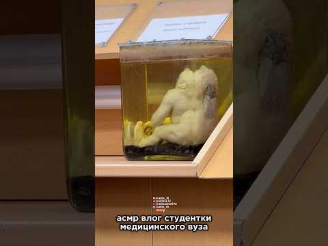 асмр влог студентки меда//fast asmr #aggressiveasmr #triggersforsleep #asmr #асмр #звукирта