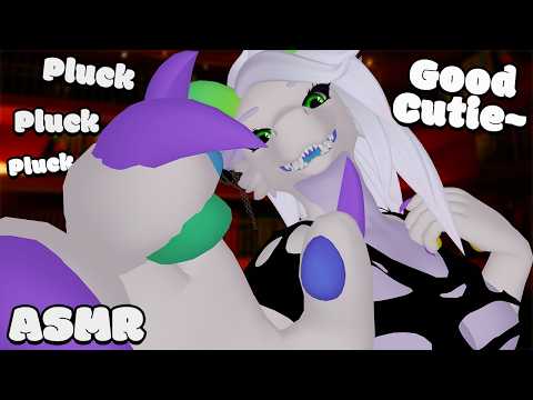 [Furry ASMR] Stress Plucking & Pawsitive Affirmations 💤| Soft Dragon Girl Roleplay