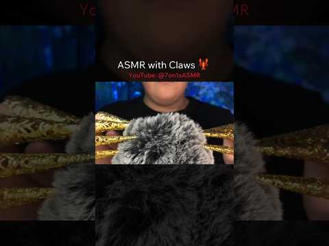ASMR with Claws 🦞 #7on1s #asmr #7on1sasmr #shorts #asmrsounds