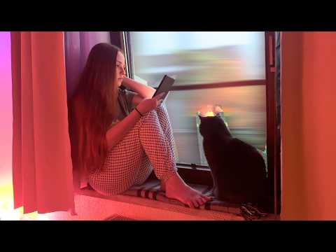 ASMR Relaxing Reading on a Quiet, Rainy Day | No Talking
