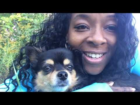 ASMR ~ Why is the sound of wind relaxing? listen to the wind with me while we lay in the tall grass