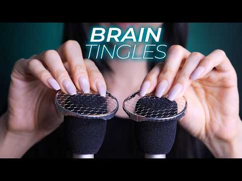 ASMR Wrap Your Brain in Tingles (No Talking)