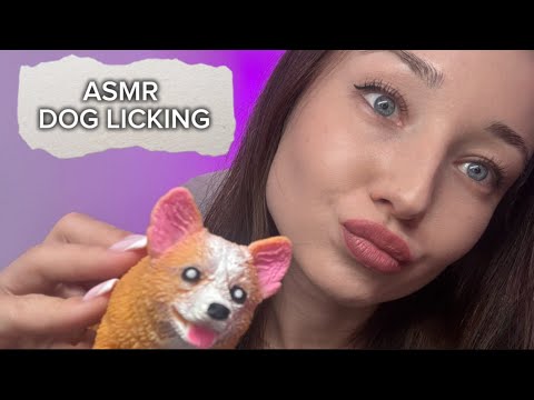 ASMR DOG LICKING 👅 1 HOUR (No Talking)