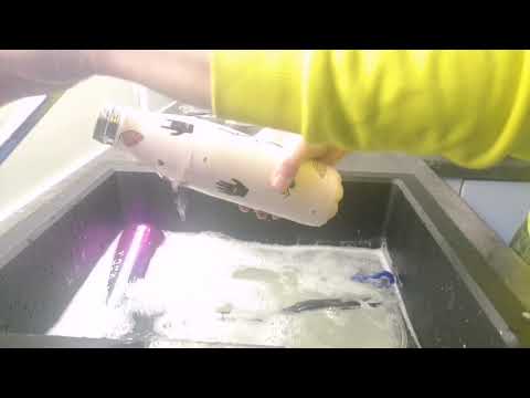 ASMR - cleaning (no talking)