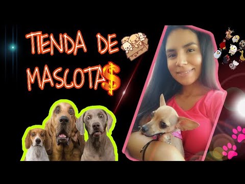 🐱ASMR Español |🐶 *Roleplay*💸 TIENDA DE MASCOTAS PARA DORMIR TRANQUILO| ANI ASMR