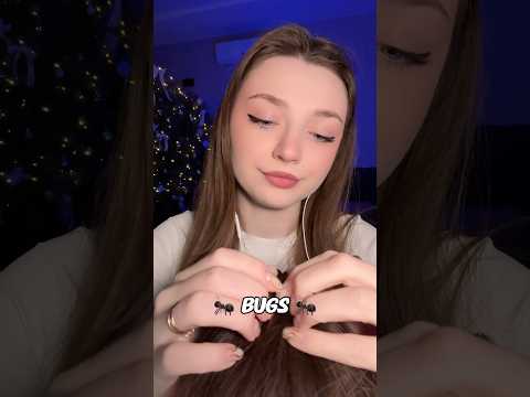 Bugs 🐜 #asmr #asmrsounds #asmrrelax #asmrtingles #asmrwhispers #asmrsleep #relax #tingles #whispers