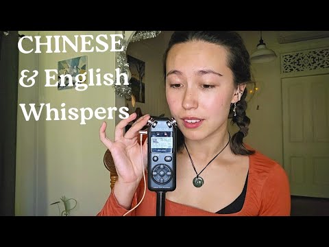 Chinglish Bae Whisper & Chill: Ear tickling & licks (Tascam mic)