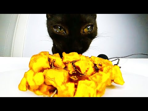 Cat Eating Weird Food - ASMR Mukbang