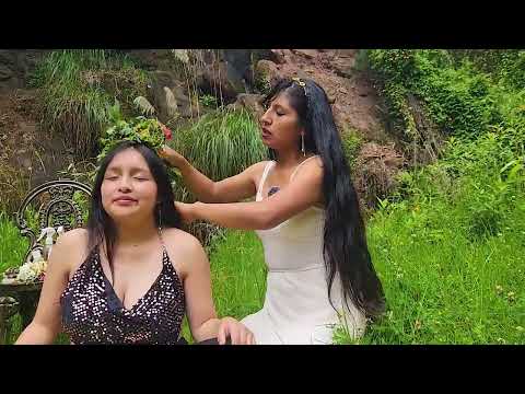 Limpia tu cuerpo de las MALAS ENERGÍAS con estas plantas sanadoras🍀🙌🙏