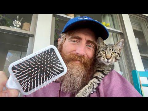 ASMR🐈‍⬛Lofi Fast Aggressive ft. Willy ASMR🐈‍⬛(My Cat😹)