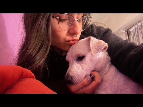 asmr con mi perrita Lola 🐶