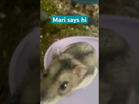 A quick hello