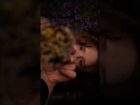 Full Spa ASMR 💆‍♀️👆🏻Skin care asmr 🥱