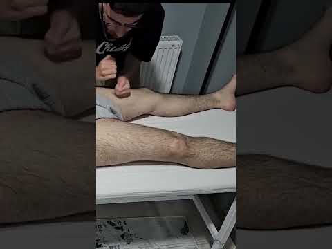 ASMR MASSAGE THERAPY THAT RESTS THE FRONT LEGS #massage #satisfying #relaxing #asmr #shorts