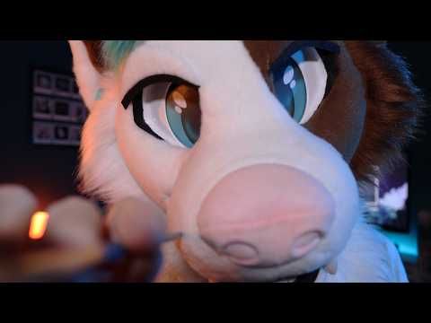[Furry ASMR] Brushing your face in unnecessarily high quality
