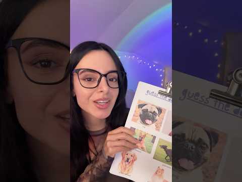 Guess the dog breed part 2✨🐶 #asmr