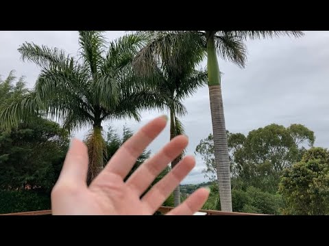 camera tapping while walking in nature asmr 🌳💚