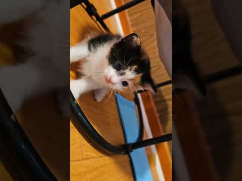 Baby spooky