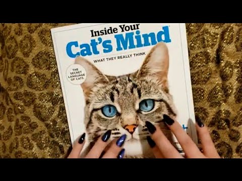 😺 Inside Your Cat's Mind Magazine|Flip-Through| ASMR