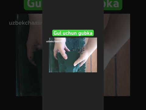 Floristik gubka #uzbek #rekkkkkk #uzbekchaasmr #asmr #флористическаягубка