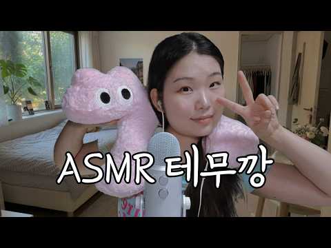 [ASMR] 남미새의 테무깡 속닥속닥 팅글 쇼핑 하울 (꿀잠 보장😴)