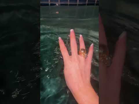dark screen version pool asmr #asmr #poolasmr #lofiasmr #asmrgame #relaxandplay