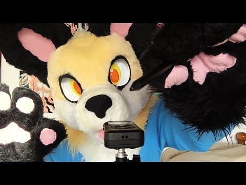 [FURRY ASMR] Fursuit Tapping and Visuals :3