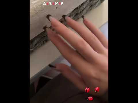 ASMR searching for bugs 🐞
