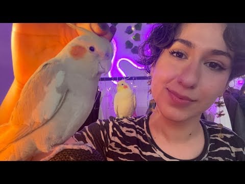 ASMR giving You and my birdie TINGLES 💆🏻‍♀️🐦