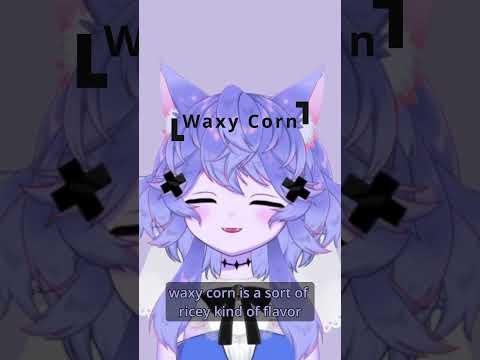 Waxy Corn: It Tastes Ricier!