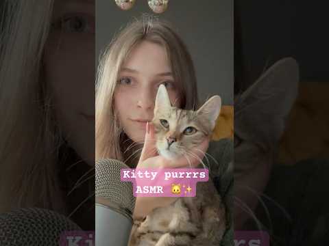 Purring kitty ASMR 🐱💗