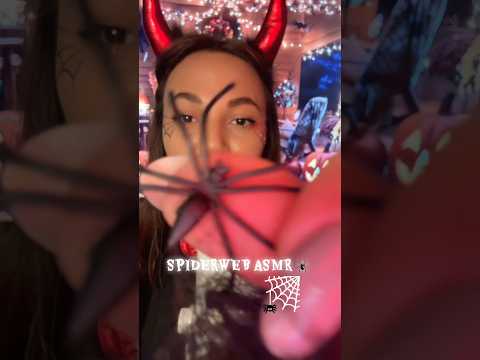 Spiderweb 🕸️ ASMR 🕷️ #asmr #hsyasmr #spiderweb #fyp #viral